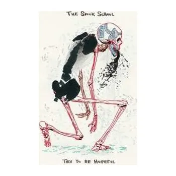 Zahraniční hudba LP The Spook School: Try To Be Hopeful 2017 180g Black & Frosted Vinyl