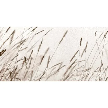 Obklad Keros Icon Gris A 25x50 dekor/tráva/