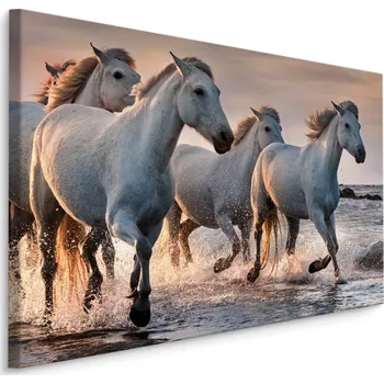 Obraz MyBestHome BOX Plátno Koně V Moři Varianta: 30x20