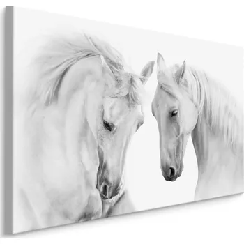 MyBestHome BOX Plátno Dva Bílí Koně Varianta: 30x20