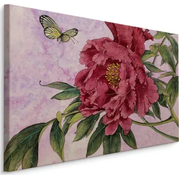 Plátno Pivoňky A Motýli Varianta: 40x30