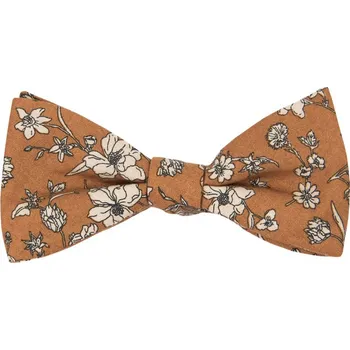 Motýlek Bubibubi Hnědý motýlek Kioni