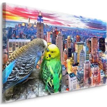 Plátno Andulky Na Pozadí New Yorku Varianta: 30x20