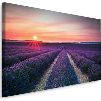 Plátno Levandulové Pole Při Západu Slunce I. Varianta: 40x30