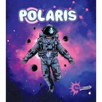 Semeno Nuka Seeds Polaris Balení: 3ks