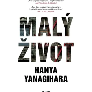 Malý život - Hanya Yanagihara (2019, pevná)