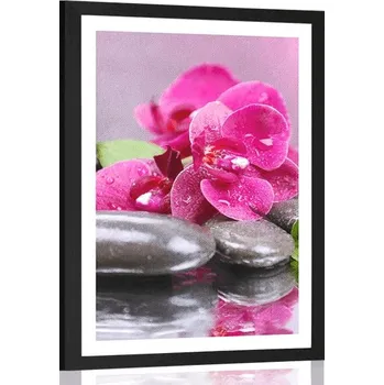 Plakát Dovido Plakát s paspartou orchidej s nádechem relaxu