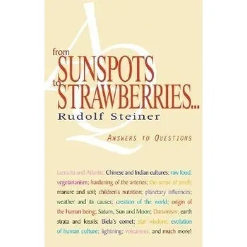 Cizojazyčná kniha From Sunspots to Strawberries - Steiner, Rudolf