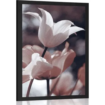 Plakát Dovido Plakát jarní tulipány v parku