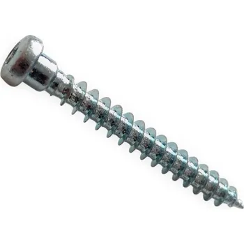 Vrut Vrut pro tesařské kování, půlkulatá hlava s osazením, torx 20, celý závit, ocel, zinek bílý, 5.0x40 mm