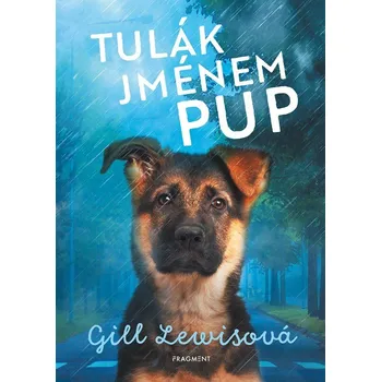 Kniha Tulák jménem Pup - Gill Lewis, Gill Lewisová (E-Kniha)