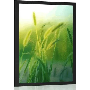 Plakát Dovido Plakát stébla trávy