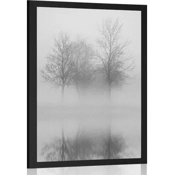 Plakát Dovido Plakát stromy v mlze v černobílém provedení