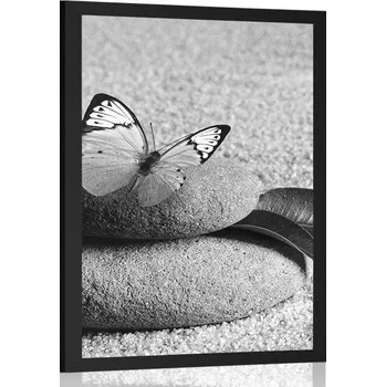 Plakát Dovido Plakát motýl na Zen kameni v černobílém provedení