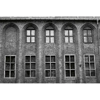 Fototapeta DIMEX | Vliesová fototapeta Gotická radnice MS-5-0800 | 375 x 250 cm| bílá, černá, šedá + Vliesová fototapeta na stěnu DIMEX Gotická radnice MS50800 v rozměru 375 x 250 cm + lepidlo zdarma