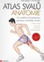 Atlas svalů: Anatomie: Pro studenty, fyzioterapeuty, sportovce, tanečníky, trenéry - Chris Jarmey, John Sharkey (2022, pevná)
