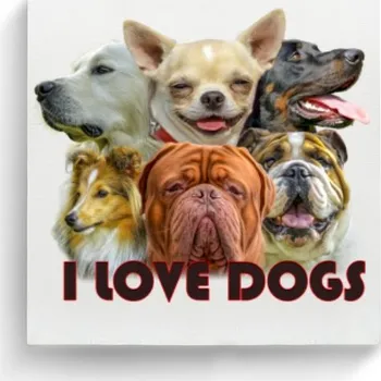Pelíšek pro psa Fotoplátno čtverec s potiskem Miluji psy - I love dogs