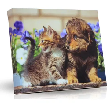 Bonboniéra Selllot, s.r.o., K Hájům 34, 155 00 Praha 5 - Vyrobeno na Ukrajině Plněné čokoládové lodičky - Pes s kočkou 125g