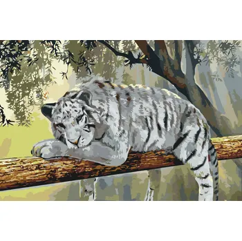 Malování podle čísel - Bílý tygr Velikost: 40x60cm, Rámování: Pouze srolované plátno