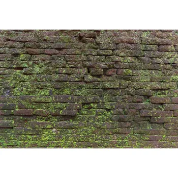 DIMEX | Vliesová fototapeta Vintage textura s mechem MS-5-2685 | 375 x 250 cm | zelená, hnědá + Vliesová fototapeta na stěnu DIMEX Vintage textura s mechem MS52685 v rozměru 375 x 250 cm + lepidlo zdarma