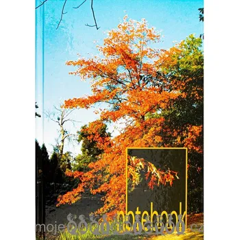 Tiskopis Kniha záznamní 6105 čtverečkovaná A6/100 - Les