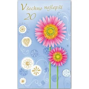 Blahopřání k narozeninám 20 - M11-318