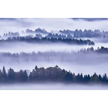 Fototapeta DIMEX | Vliesová fototapeta Mlha a stromy MS-5-1870 | 375 x 250 cm| modrá, bílá, šedá + Vliesová fototapeta na stěnu DIMEX Mlha a stromy MS51870 v rozměru 375 x 250 cm + lepidlo zdarma