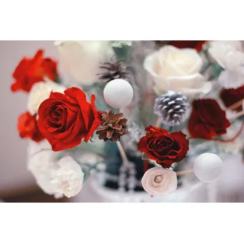 Fototapeta DIMEX | Vliesová fototapeta Vánoční svatební kytice MS-5-1401 | 375 x 250 cm| červená, bílá, hnědá + Vliesová fototapeta na stěnu DIMEX Vánoční svatební kytice MS51401 v rozměru 375 x 250 cm + lepidlo zdarma