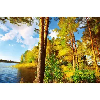 Fototapeta DIMEX | Vliesová fototapeta Slunečný les MS-5-1845 | 375 x 250 cm| zelená, modrá, bílá, žlutá + Vliesová fototapeta na stěnu DIMEX Slunečný les MS51845 v rozměru 375 x 250 cm + lepidlo zdarma