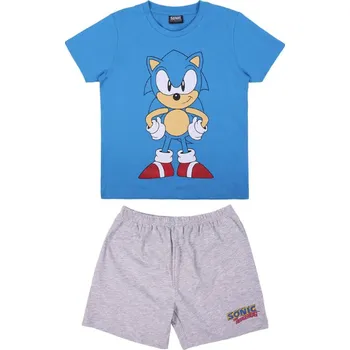 Dámské tričko Pyžamo Sonic the Hedgehog Blue and Gray 12 let/152 cm