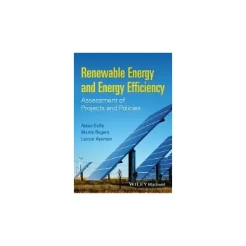 Cizí jazyk Duffy, A: Renewable Energy and Energy Efficiency - Adian Duffy Wiley-Blackwell