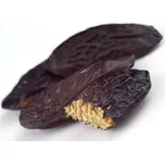 Tonka fazole (Dipteryx odorata)