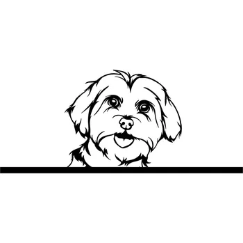 Vsepropejska Maltézský psík dřevěná dekorace na zeď Rozměr (cm): 38 x 25, Typ: Maltézský psík 3, Dekor: Černá