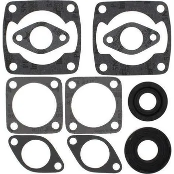 Těsnění motoru Winderosa sada těsnění motoru (s olejovým těsněním) Arctic Cat Jag 3000 FA/2 76-80