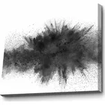 Obraz JULIET 70x100 cm bílý/černý