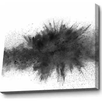 Obraz Obraz JULIET 70x100 cm bílý/černý