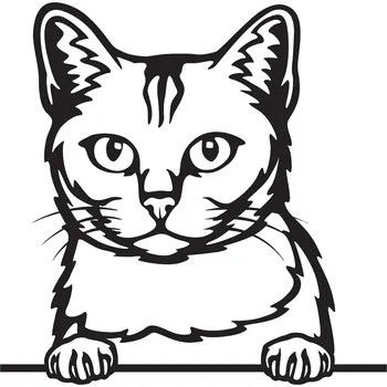 Vsepropejska Burmilla kočka dřevěná dekorace na zeď Rozměr (cm): 38 x 37