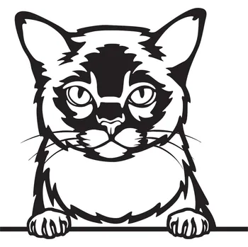 Vsepropejska Barmská kočka dřevěná dekorace na zeď Rozměr (cm): 38 x 35