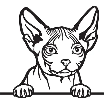 Vsepropejska Minskin kočka dřevěná dekorace na zeď Rozměr (cm): 38 x 33