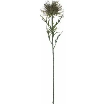 umělá květina Edelman Květina Protea, zelená, 71 cm|Ego Dekor