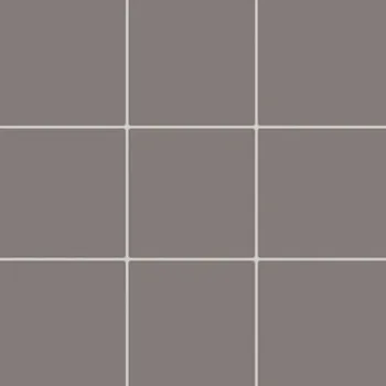 Dlažba RAKO TAURUS TAA11006 10 cm x 10 cm x 0,8 cm šedá 1,09 m2