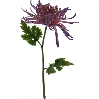 umělá květina umělá květina, Chryzantéma (Chrysanthemum) 'Monaco' fialová V68 cm (N936346)