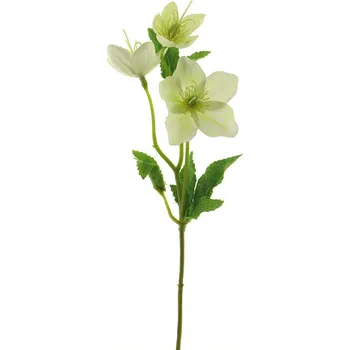 umělá květina Umělá květina, Čemeřice - Helleborus 'spray' krémová 34 cm