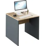 Psací stůl, grafit / dub artisan, RIOMA NEW TYP 17