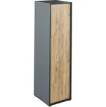 Věšáková skříň, grafit / dub artisan, RIOMA NEW TYP 20
