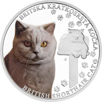 2024 - Stříbrná mince Britská kočka - Plemena koček