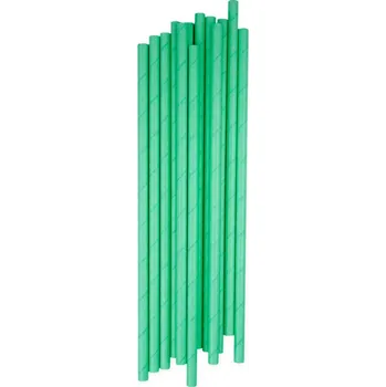 Party nádobí Brčka papírová 25 ks - mátová