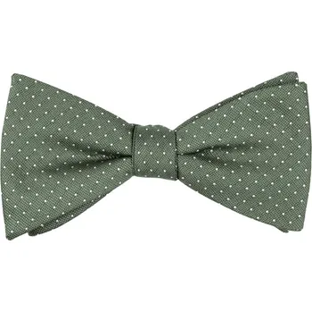 Motýlek Bubibubi Šalvějově zelený motýlek s puntíky