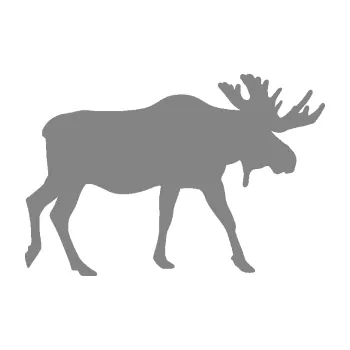 Samolepící dekorace SAMOLEPKA Los 008 pravá (17 - šedá) NA AUTO, NÁLEPKA, FÓLIE, POLEP, TUNING, VLASTNÍ TEXT, TISK, AUTOSAMOLEPKY.cz, POLEPY, OBRÁZEK, LOGO, SAMOLEPKY