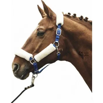 Vybavení pro koně Ohlávka HKM -NORTH POLE- - Žlutá - Full